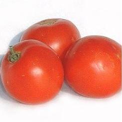 Tomato - 7 Giant 
