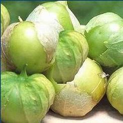 Tomatillo 