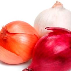 Onion 