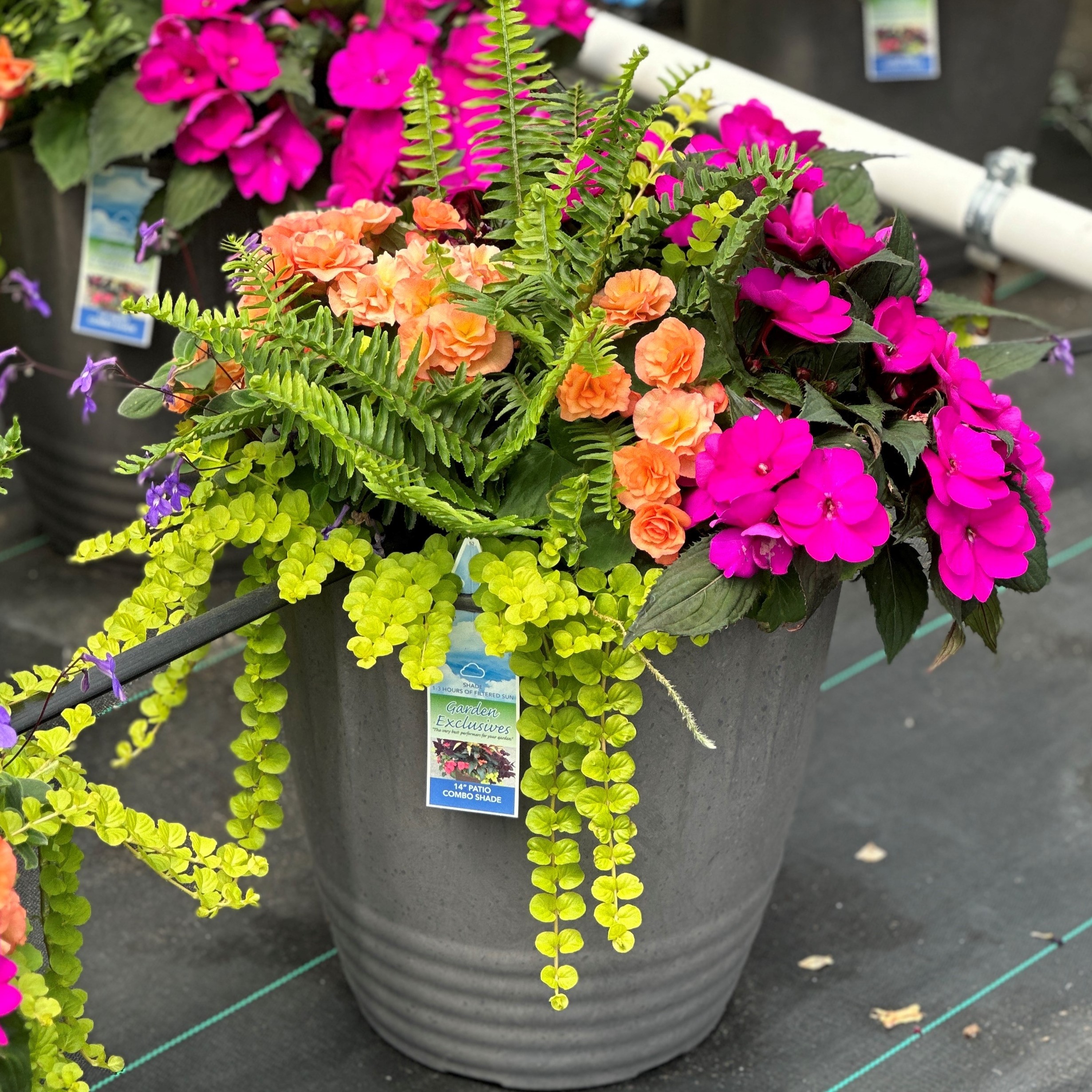 Planter Combinations Combination - Planters from Meadowridge, Inc.