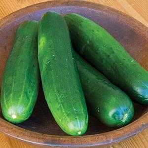 Cucumber Cucumber Burpless, Homemade Pickle, & Marketmore from Meadowridge, Inc.